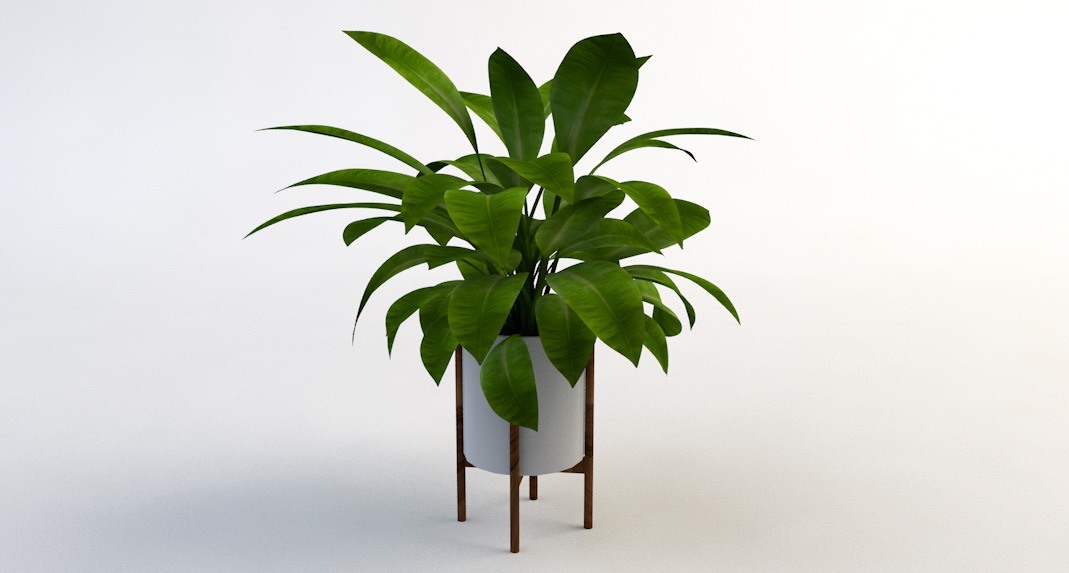 室内装饰植物C4D模型(14) Interior plants 3d model - C4D之家 - cinema4d_ 2016-10-29 23.02.22.jpg