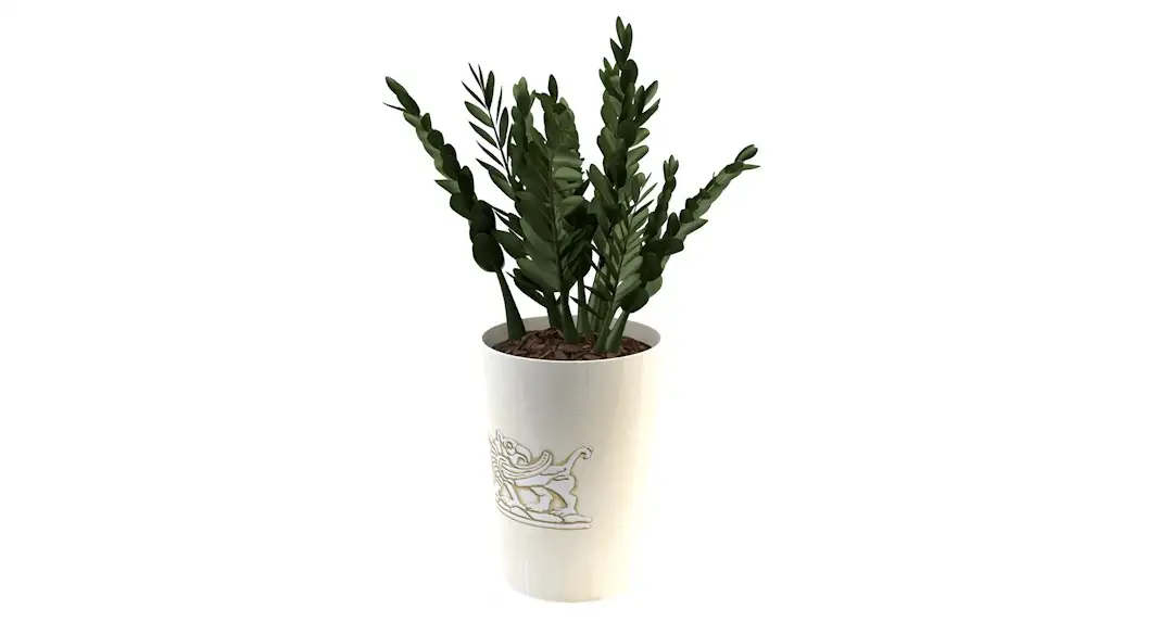 室内装饰植物C4D模型(15) Interior plants 3d model - C4D之家 - cinema4d_ 2016-10-29 23.18.47.jpg