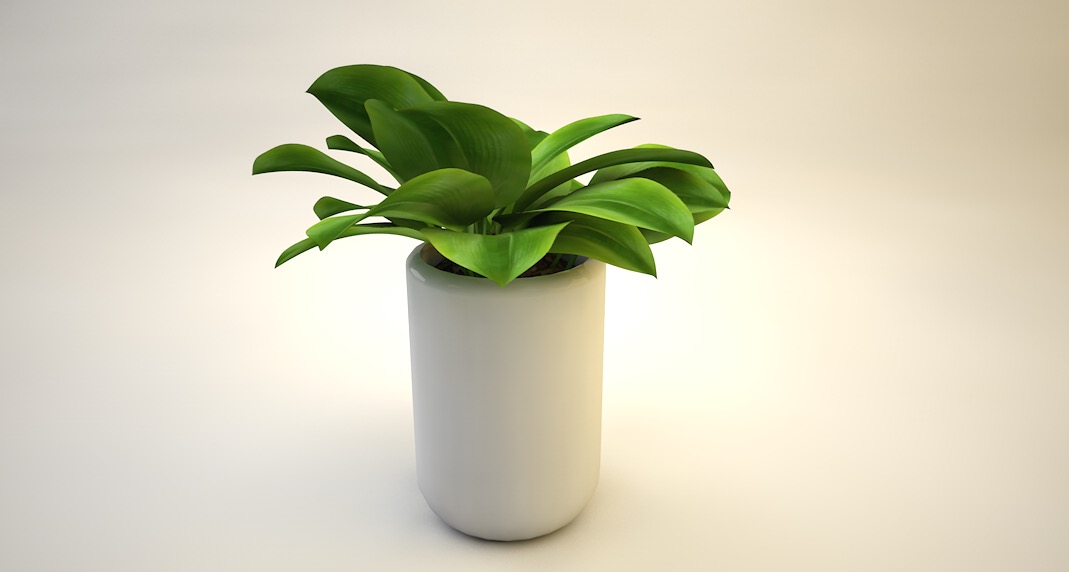 室内装饰植物C4D模型(16) Interior plants 3d model - C4D之家 - cinema4d_ 2016-10-29 23.25.20.jpg