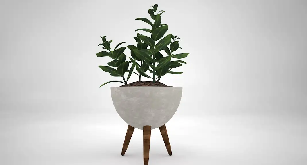 室内装饰植物C4D模型(18) Interior plants 3d model - C4D之家 - cinema4d_ 2016-10-29 23.39.48.jpg