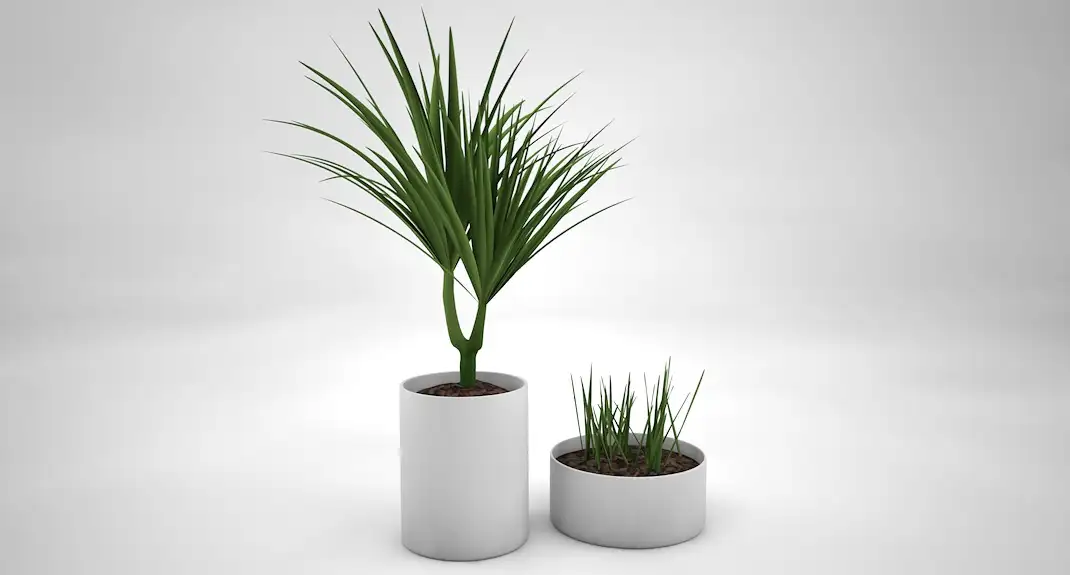 室内装饰植物-芦荟C4D模型(20) Interior plants 3d model