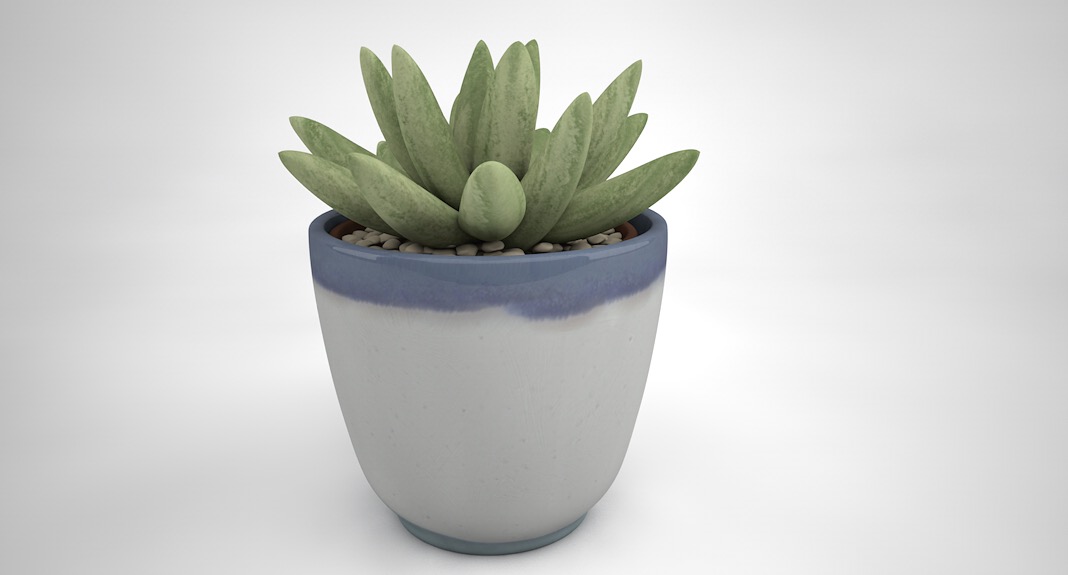 室内装饰植物-多肉植物C4D模型 Gasteria 3d model - C4D之家 - cinema4d_ 2016-10-30 00.05.47.jpg