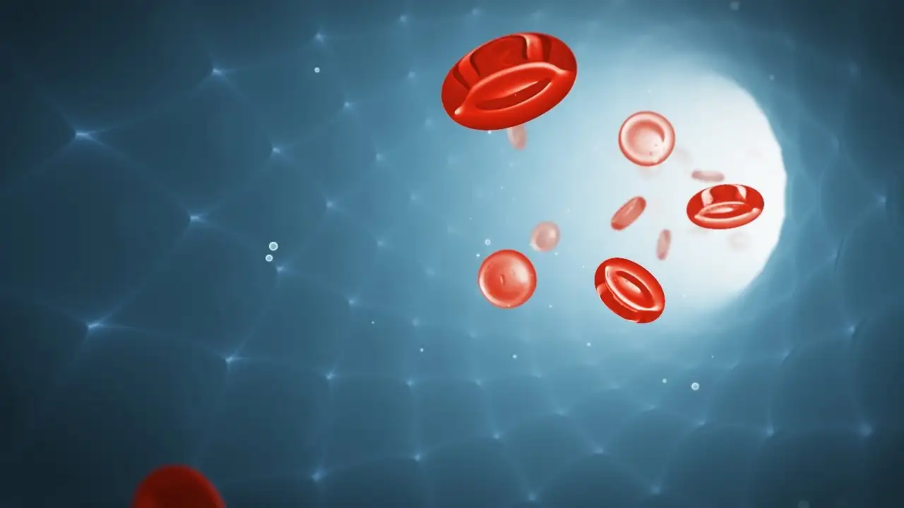 C4D+AE制作医疗血流动画教程 Medical Animation Bloodflow Tutorial