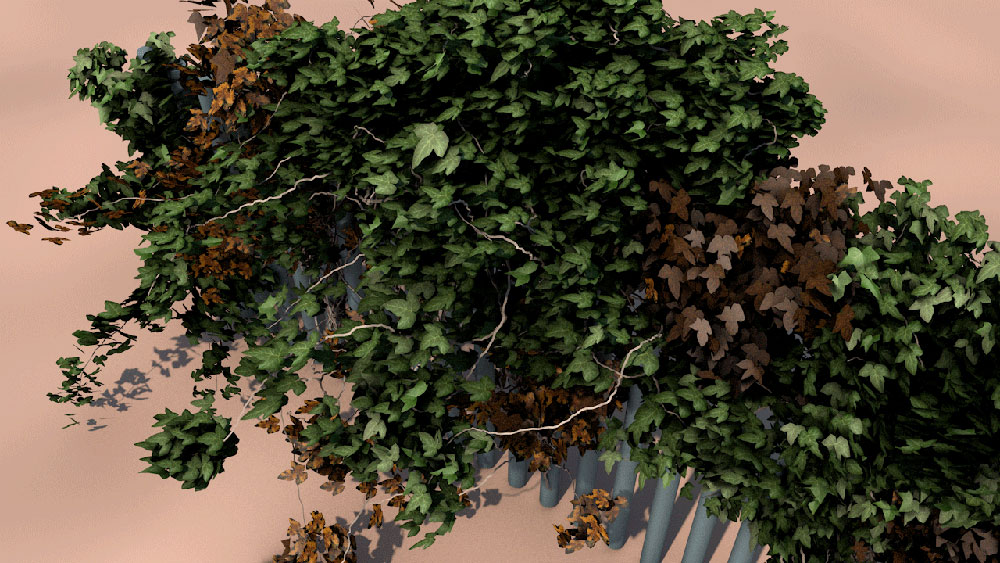 C4D常春藤生长插件的中文使用教程