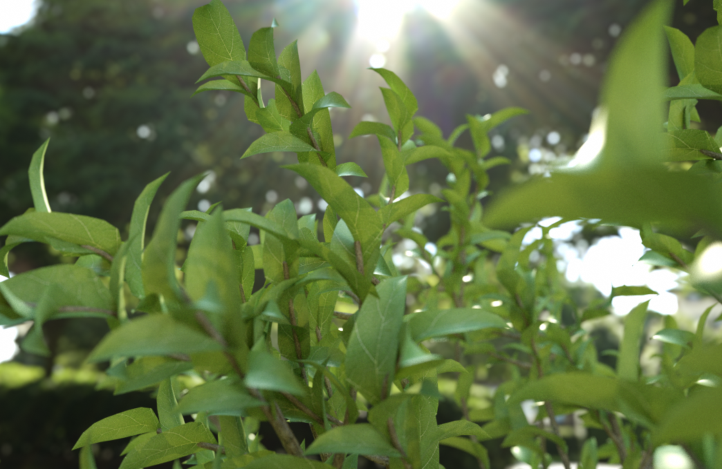 c4d octane 叶子渲染 - C4D之家 - leaf