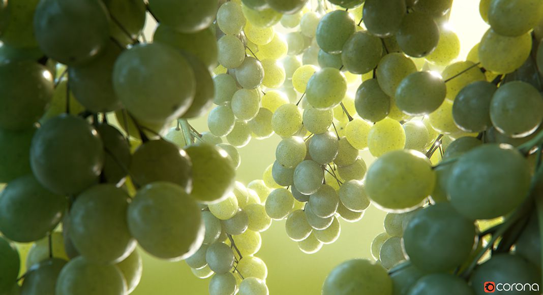 C4D照片级无偏差渲染器 Corona Renderer for C4D Alpha 6 RC2 - C4D之家 - corona-renderer-sss-and-volumetrics.jpg