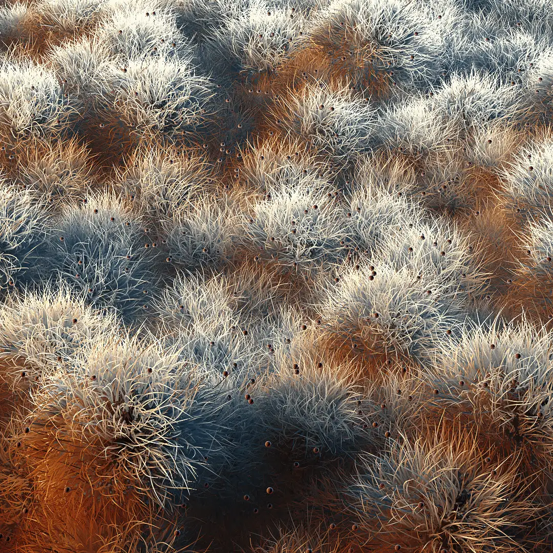C4D实用工程第43季：梦幻珊瑚C4D工程文件 c4d project