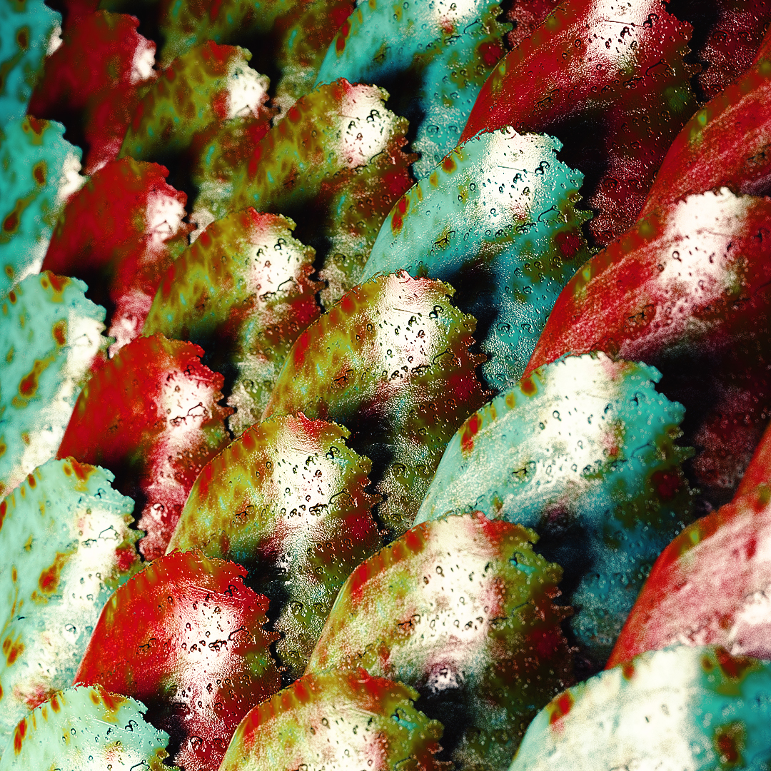 C4D实用工程第104季：七彩鳞片创意C4D工程文件 c4d project - C4D之家 - [17-10-16] - Ecaille.jpg