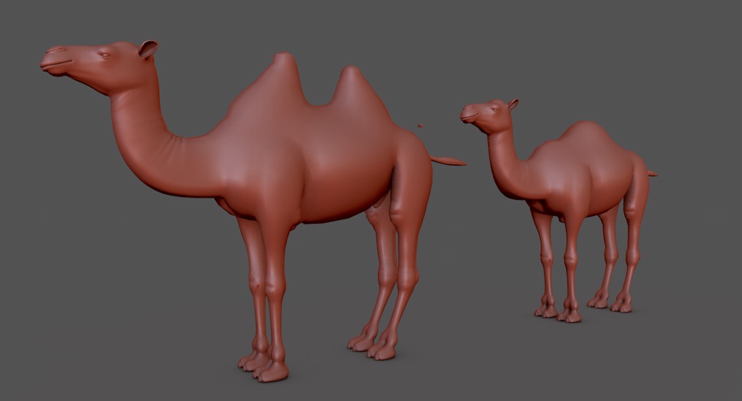 骆驼C4D模型（双驼峰+单驼峰） camel 3d model