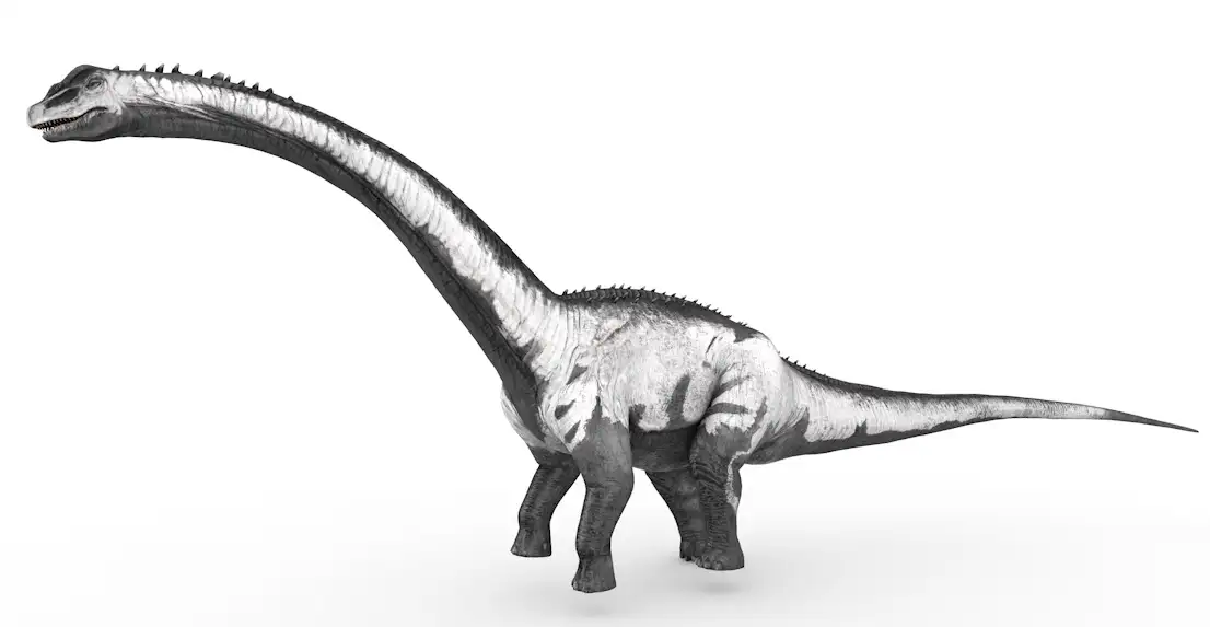 史前动物：蜥脚类恐龙(14套/含绑定动画）Sauropod 3d model)