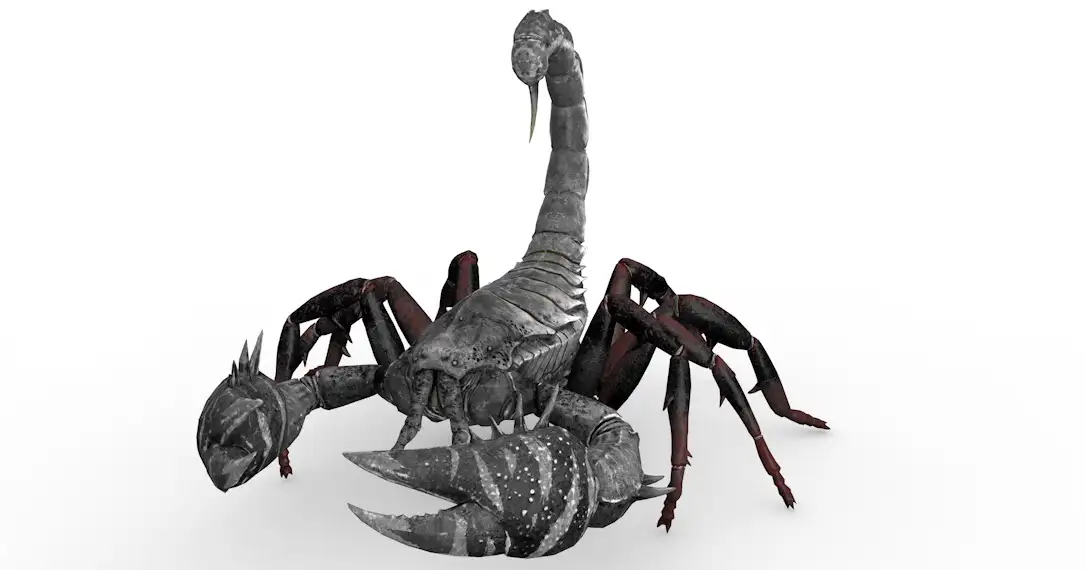 史前生物：蝎子C4D模型（14套/含绑定动画）Scorpion 3d model - C4D之家 - cinema4d_ 2016-11-20 19.52.26.jpg