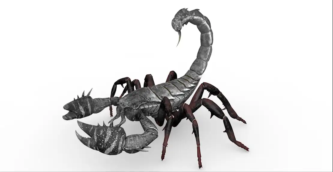 史前生物：蝎子C4D模型（14套/含绑定动画）Scorpion 3d model