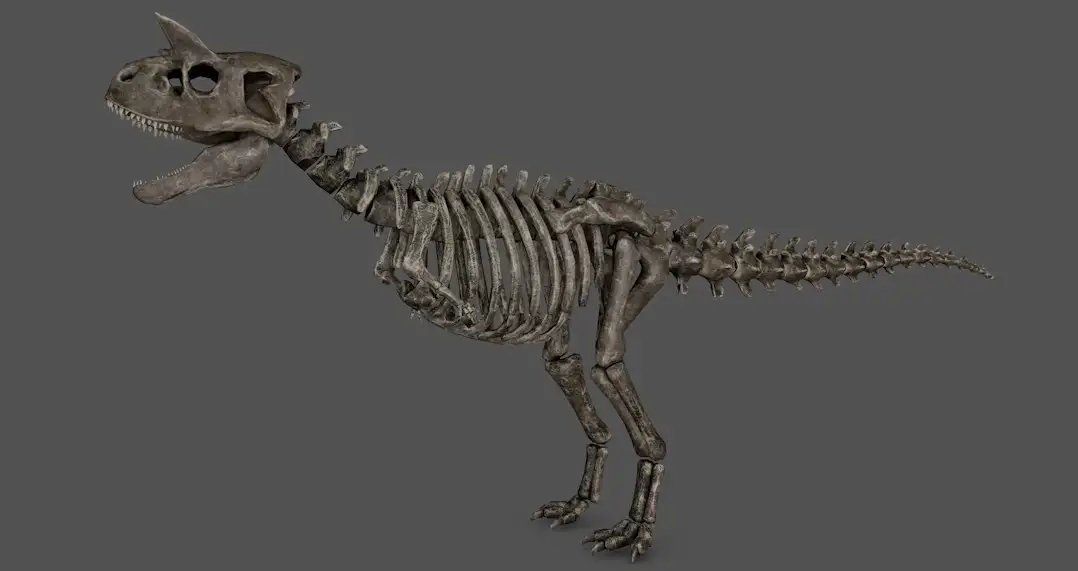 恐龙骨骼 恐龙化石C4D模型 skeletal carno 3d model - C4D之家 - cinema4d_ 2016-11-20 20.36.03.jpg