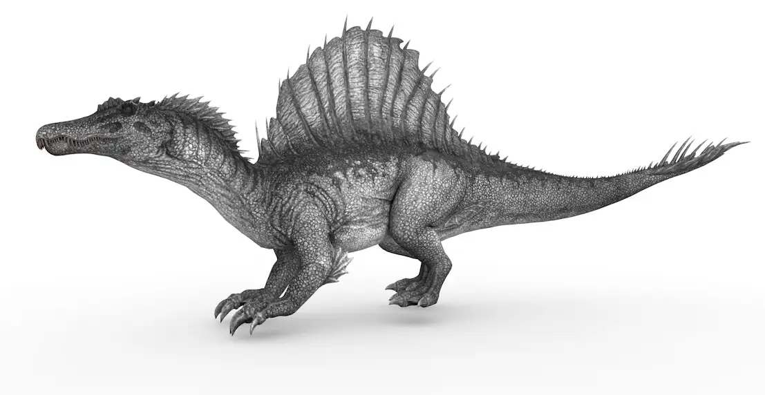 史前动物：棘背龙C4D模型（13套/含绑定动画）Spino 3dmodel