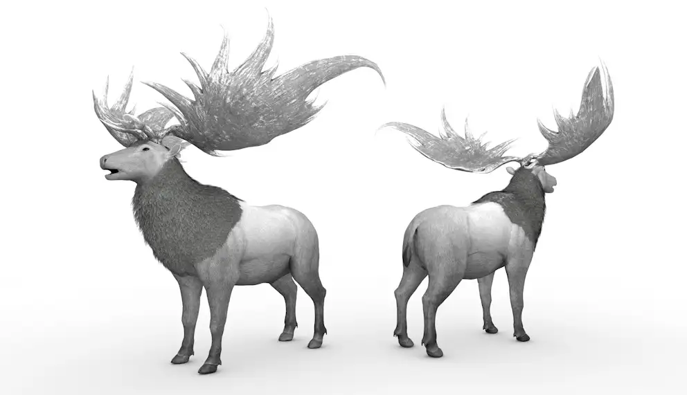 牡鹿 雄鹿C4D模型 Stag 3d model