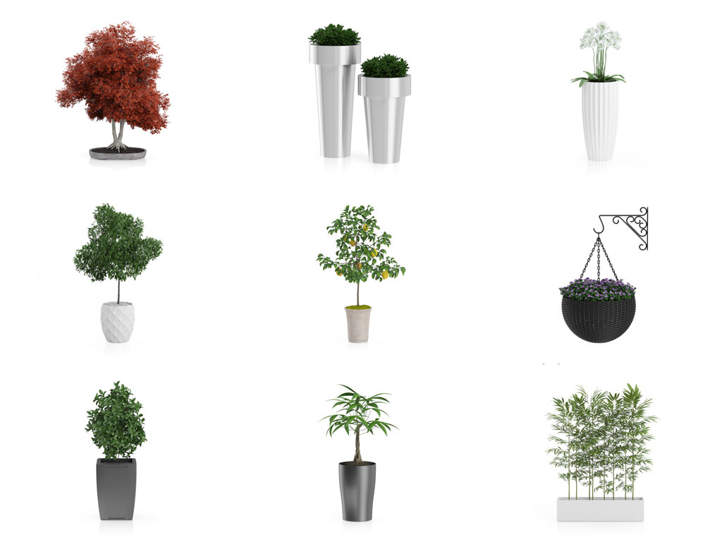 31套C4D高精度室内装饰花卉植物模型合集 Plants IV - C4D之家 - 联系表-003.jpg