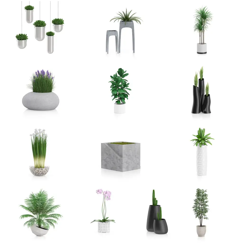 31套C4D高精度室内装饰花卉植物模型合集 Plants IV - C4D之家 - 联系表-002.jpg