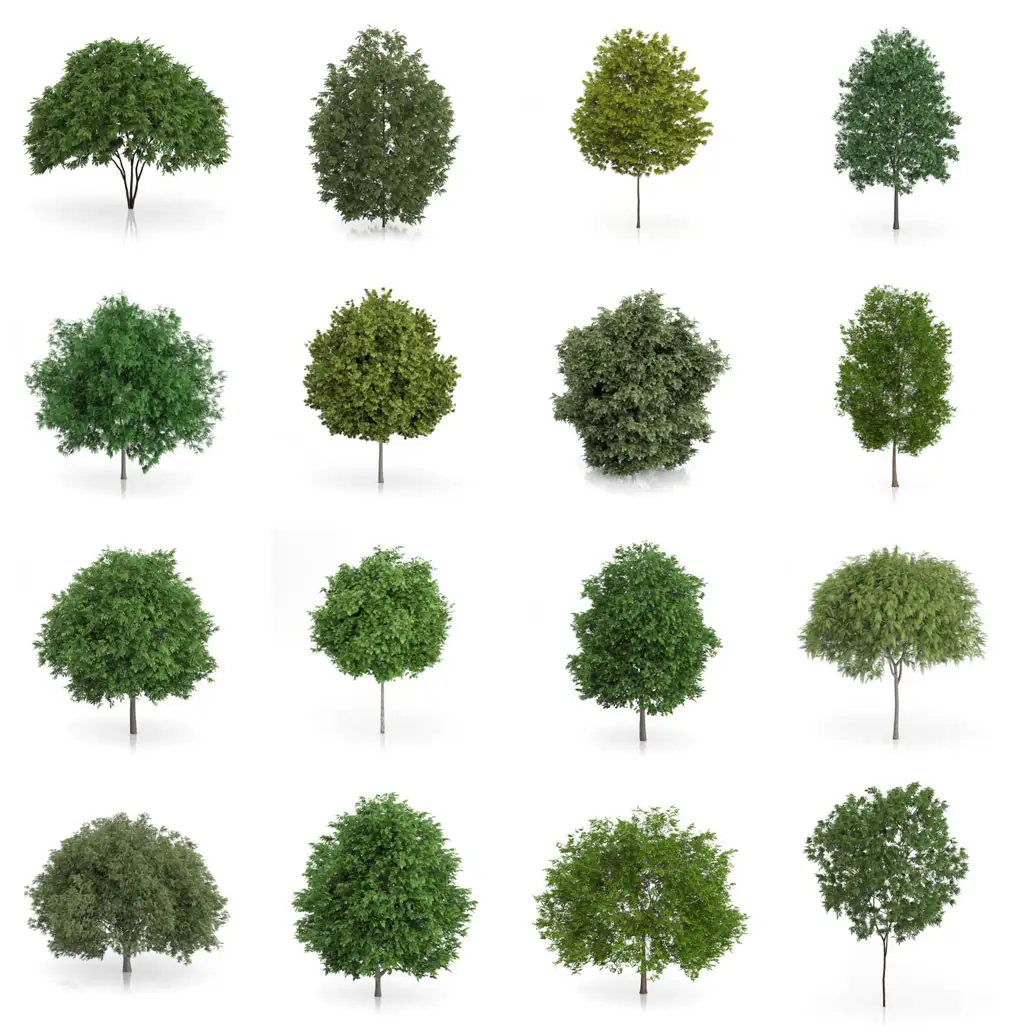 42套C4D高精度景观树模型合集 CGAxis Models Volume 54 – 3D Trees V - C4D之家 - 联系表-001.jpg