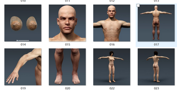 人体模型、肌肉、骨骼、生物器官 - C4D之家 - 2.png