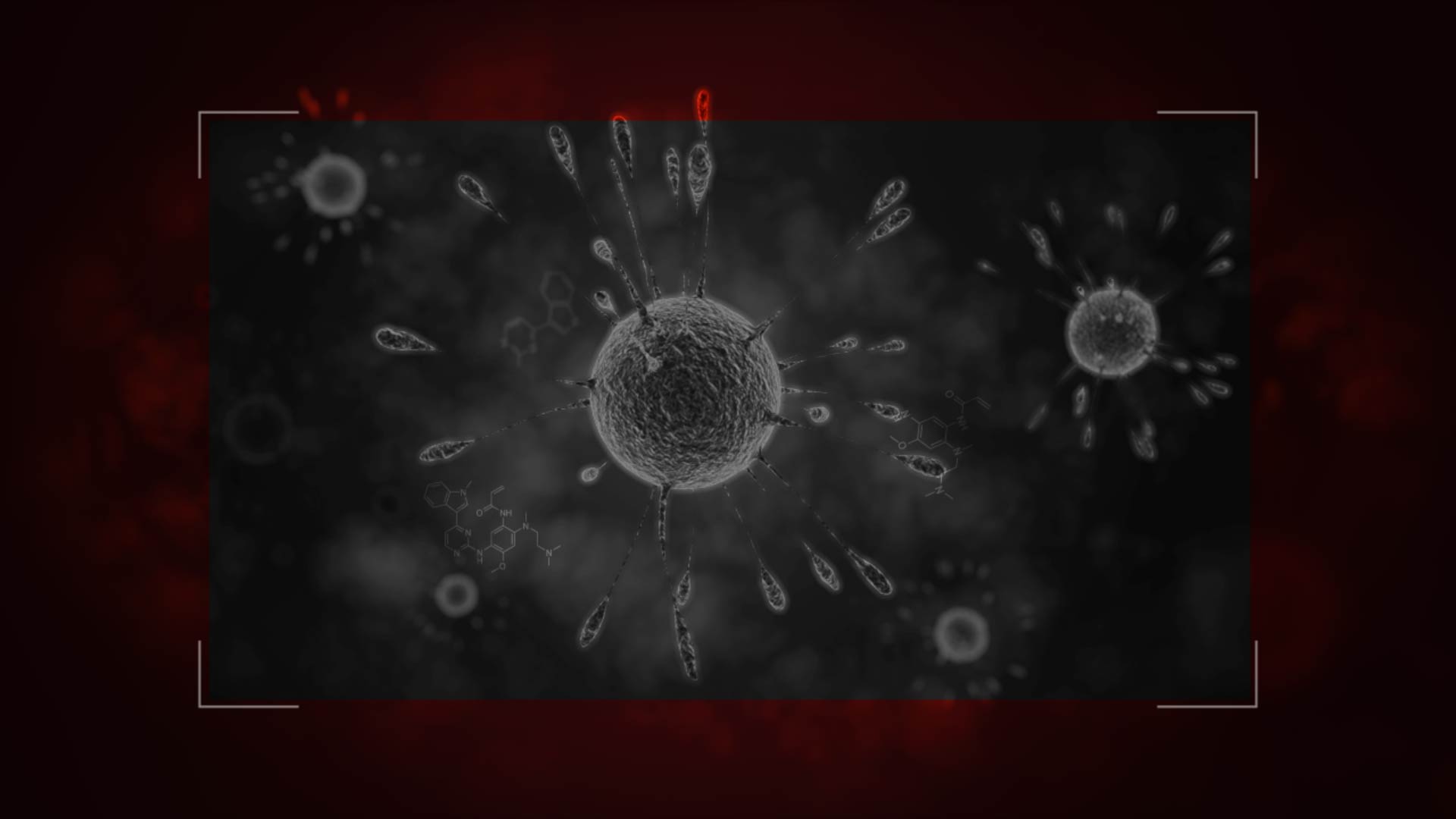 细胞 - C4D之家 - 1.jpg