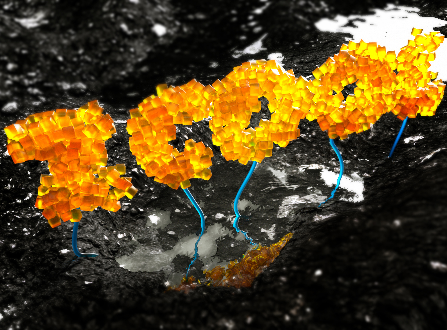 C4D插件OC材质渲染测试 - C4D之家 - 01860a5846b07aa801219c77b9cb0d.jpg