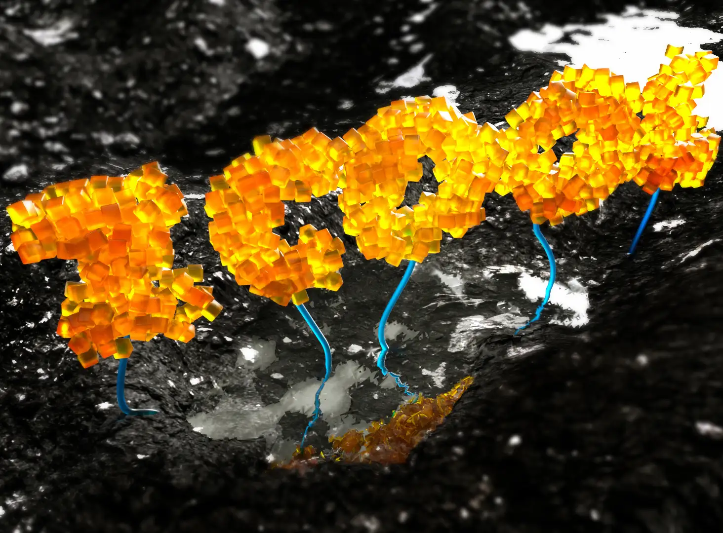 C4D插件OC材质渲染测试 - C4D之家 - 01860a5846b07aa801219c77b9cb0d.jpg
