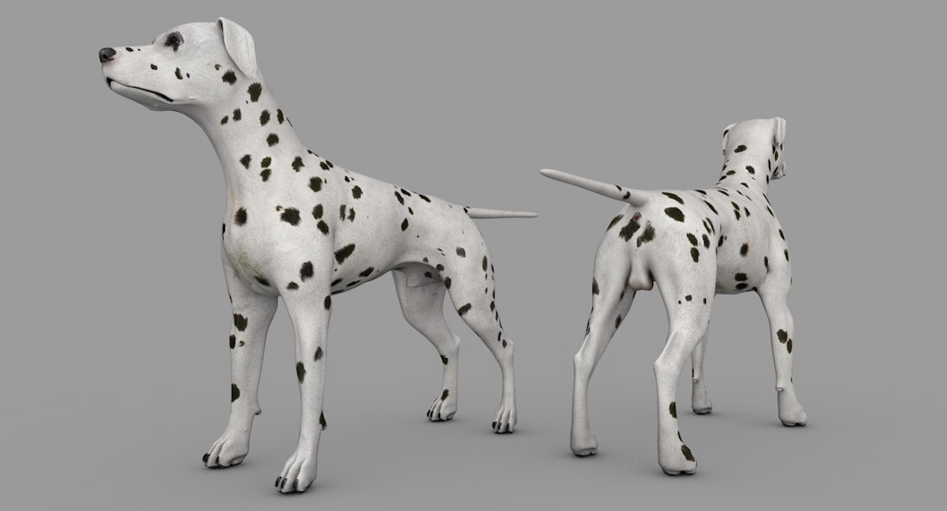 宠物狗 斑点狗C4D模型 dog Dalmation 3d model - C4D之家 - cinema4d_ 2016-12-31 20.04.04.jpg