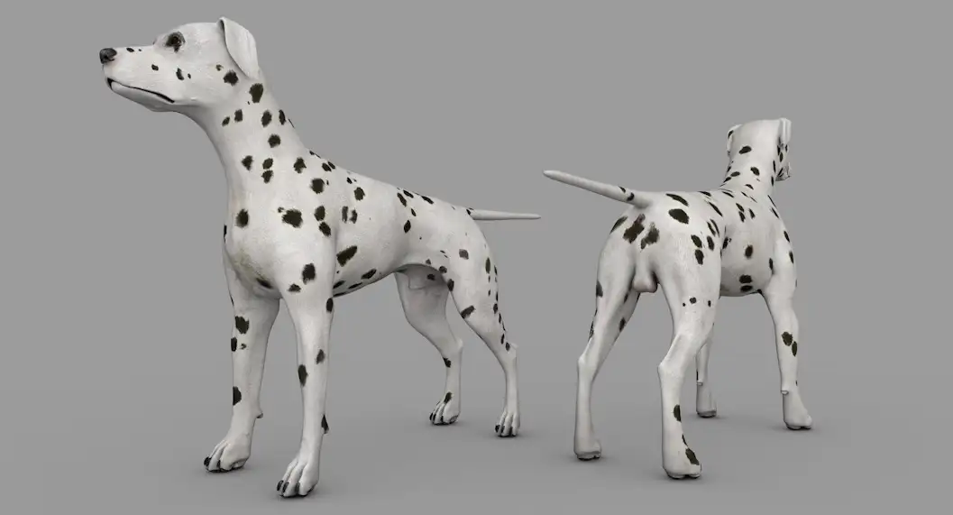 宠物狗 斑点狗C4D模型 dog Dalmation 3d model - C4D之家 - cinema4d_ 2016-12-31 20.04.04.jpg