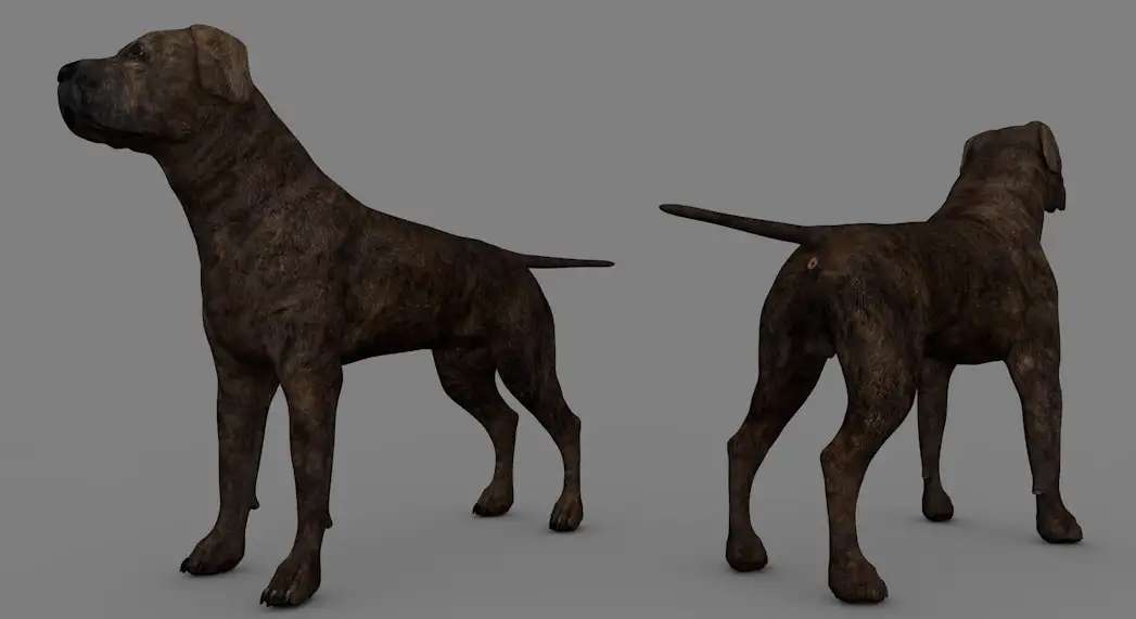 獒犬C4D模型 dog Mastiff 3d model