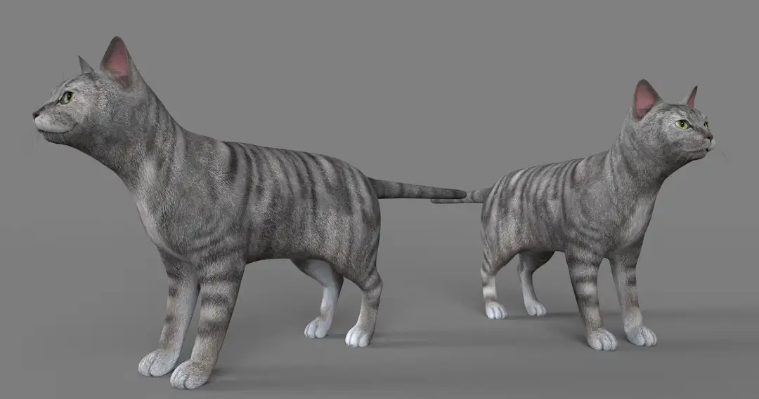美国短毛猫C4D模型 American Shorthair Cat 3d model - C4D之家 - cinema4d_ 2017-01-04 22.59.08.jpg