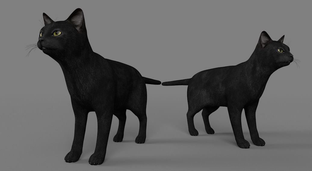 黑猫C4D模型 Black cat 3d model - C4D之家 - cinema4d_ 2017-01-04 23.03.02.jpg
