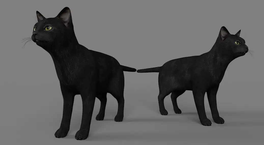 黑猫C4D模型 Black cat 3d model - C4D之家 - cinema4d_ 2017-01-04 23.03.02.jpg