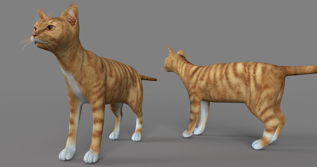 德文莱克斯猫C4D模型 Devon rex 3d model - C4D之家 - cinema4d_ 2017-01-05 11.07.21.jpg