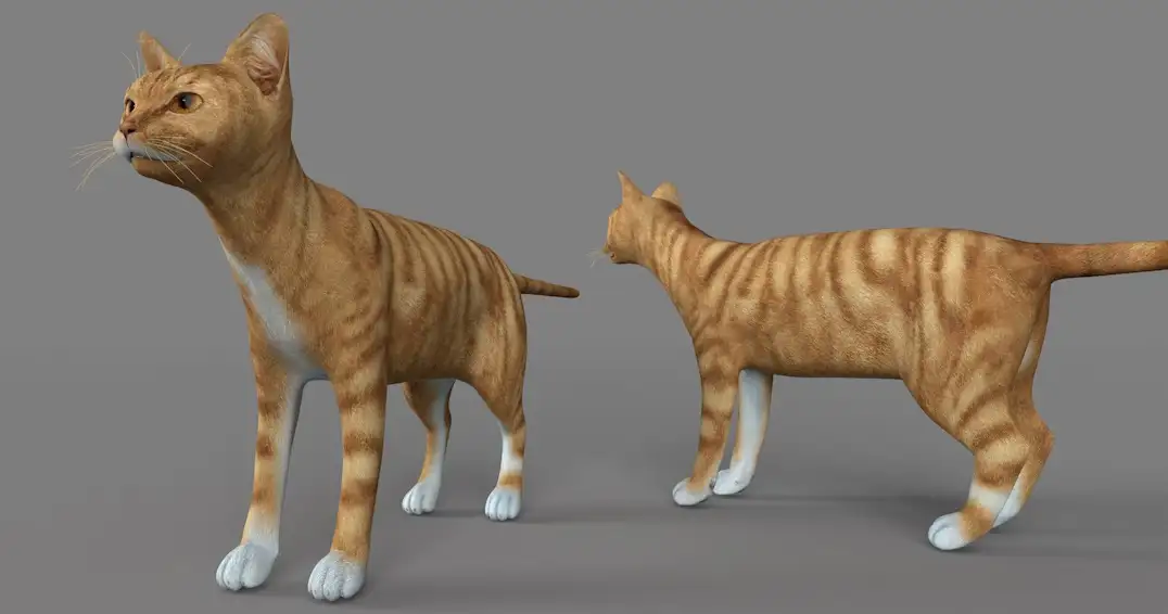 德文莱克斯猫C4D模型 Devon rex 3d model - C4D之家 - cinema4d_ 2017-01-05 11.07.21.jpg