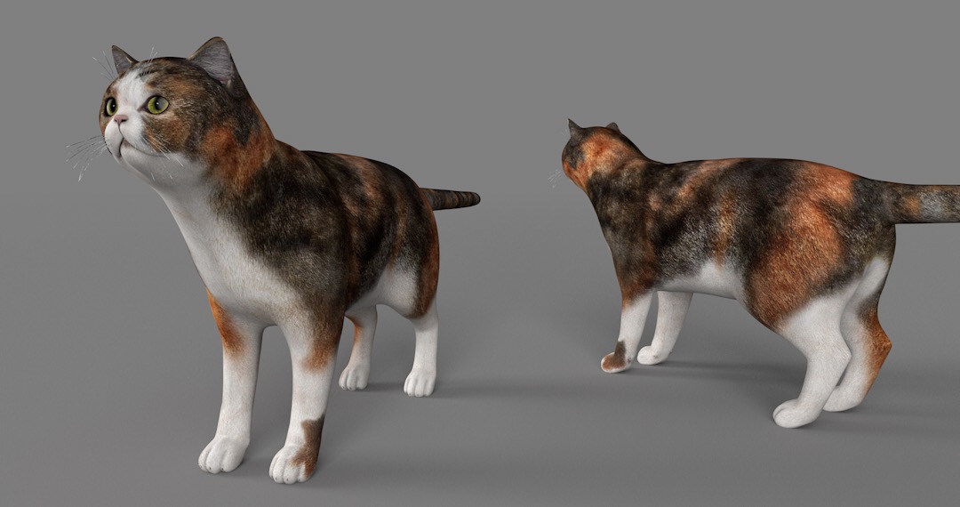 异国短毛猫C4D模型 Exotic Shorthair Kittens 3d model - C4D之家 - cinema4d_ 2017-01-05 11.36.27.jpg