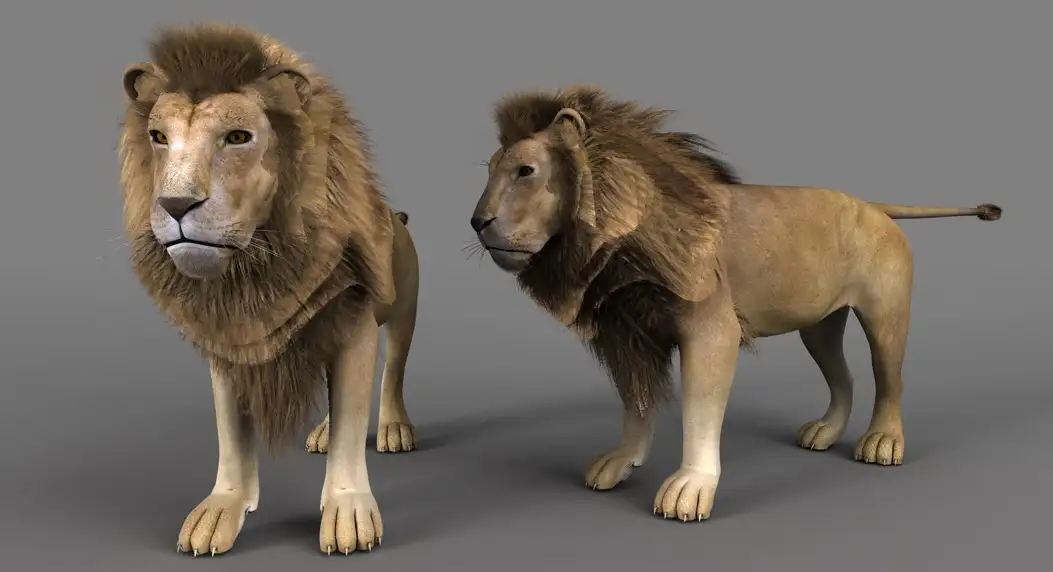 雄狮 狮子C4D模型 Lion old 3d model