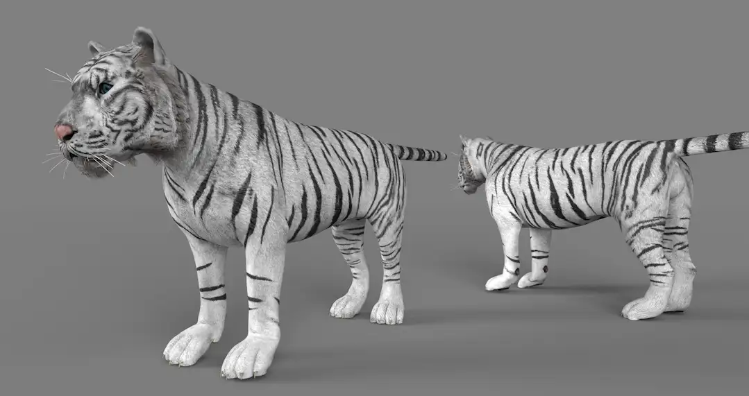 孟加拉虎 白虎C4D模型 Tiger white 3d model - C4D之家 - cinema4d_ 2017-01-06 19.52.34.jpg