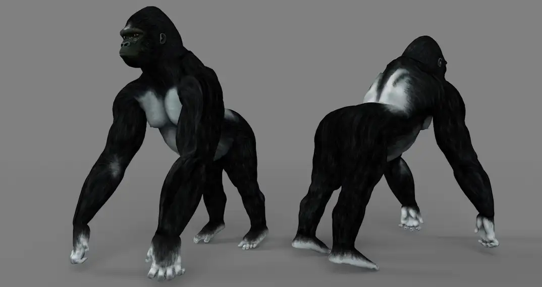 银背大猩猩C4D模型 Gorilla Silverback 3d model