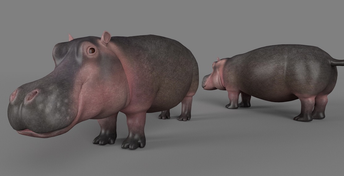河马C4D模型 Hippopotamus 3d model - C4D之家 - cinema4d_ 2017-01-07 14.48.15.jpg