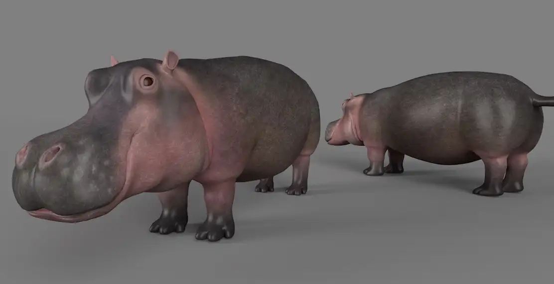 河马C4D模型 Hippopotamus 3d model