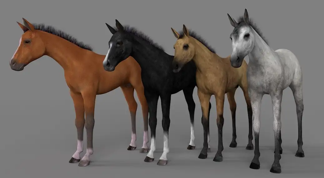 五种颜色的小马驹C4D模型 Millennium Foal 3d model