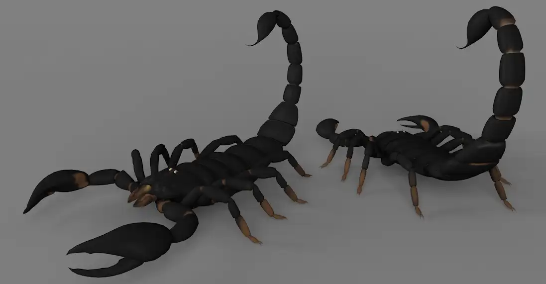 蝎子C4D模型 Scorpion 3d model