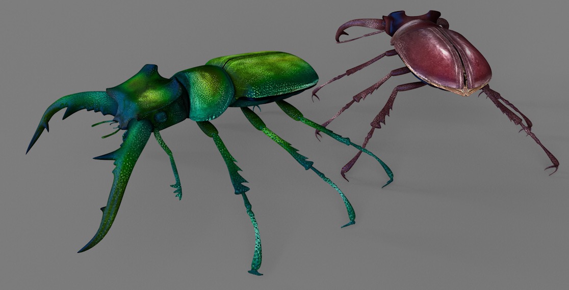 锹形甲虫 鹿角虫C4D模型 Stag Beetle 3d model