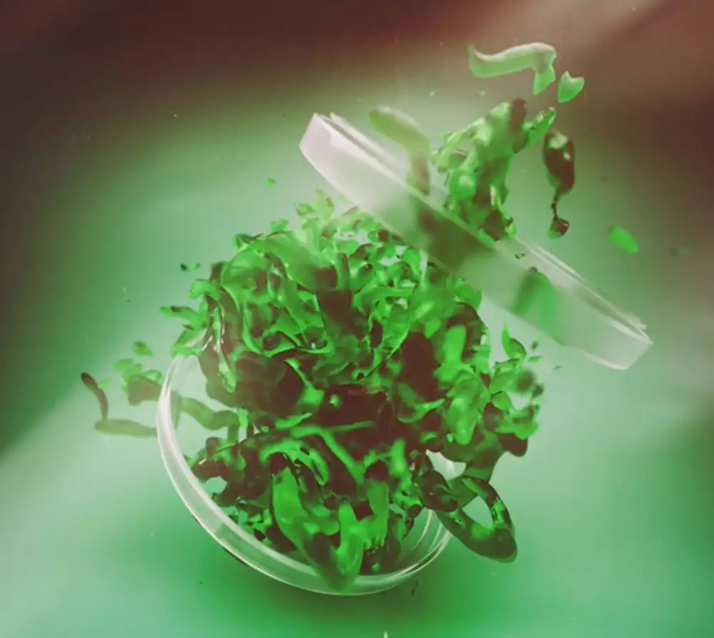 C4D使用OCTANE RENDER和Realflow渲染喷溅的水花教程 - C4D之家 - cinema4d_-2017-01-09-21.46.44.jpg