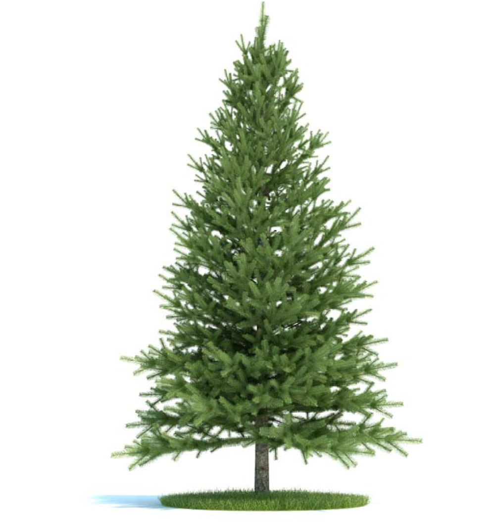 景观树 松树C4D模型 pinus 3d model - C4D之家 - archmodels_vol_58-5-拷贝.jpg