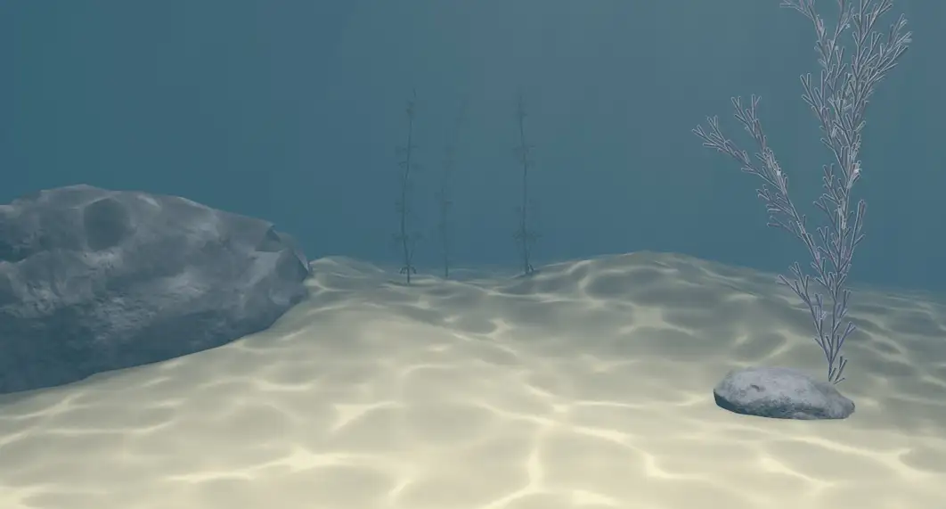 C4D模拟真实的海底动画工程文件 seabed