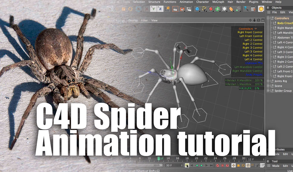 C4D蜘蛛行走动画教程 C4D Spider Animation tutorial