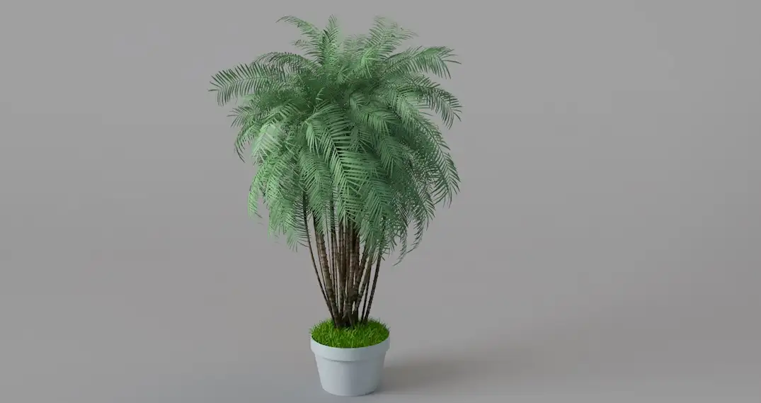 客厅大株植物 绿色植物盆景C4D模型 Landscape plants