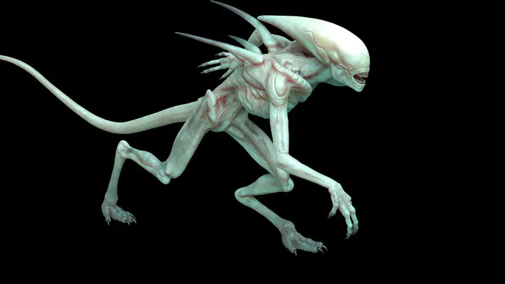 外星人MAYA绑定模型 Alien 3d model - C4D之家 - thumb.jpg