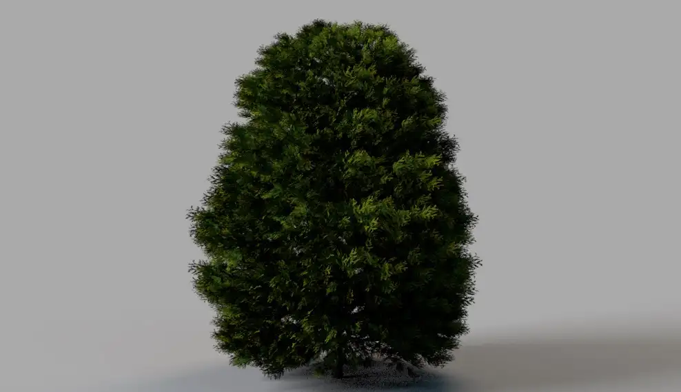 柏树 侧柏 景观树C4D模型 Cypress 3d model - C4D之家 - cinema4d_ 2017-03-05 00.00.58.jpg
